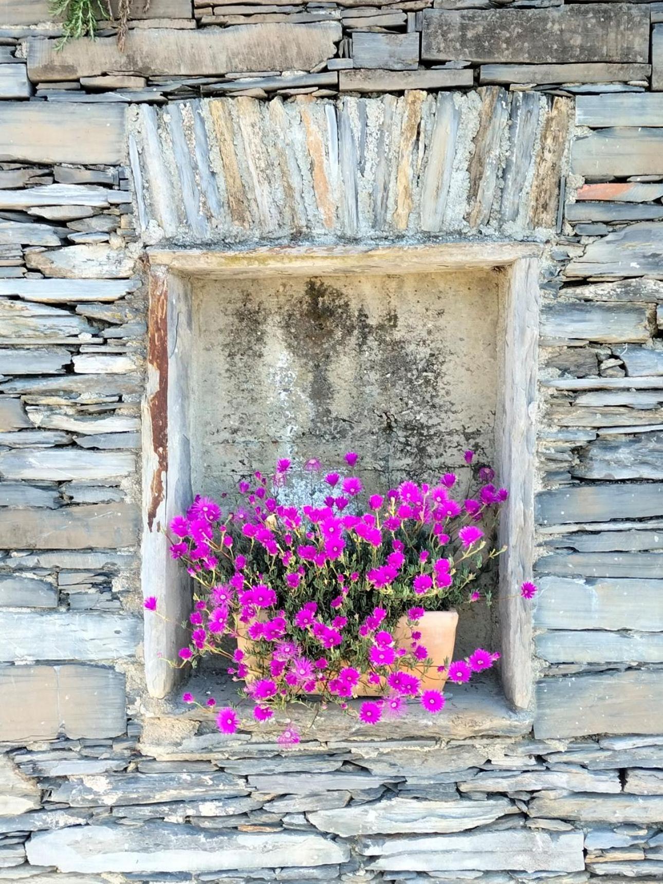 Ca' Da Tollo Hotel Cogorno Exterior photo